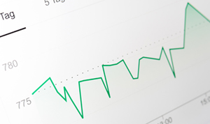 Ausschnitt aus dem Kunden-Dashboard: Umsatzstatistik Kunden-Dashboard: Umsatzstatistik